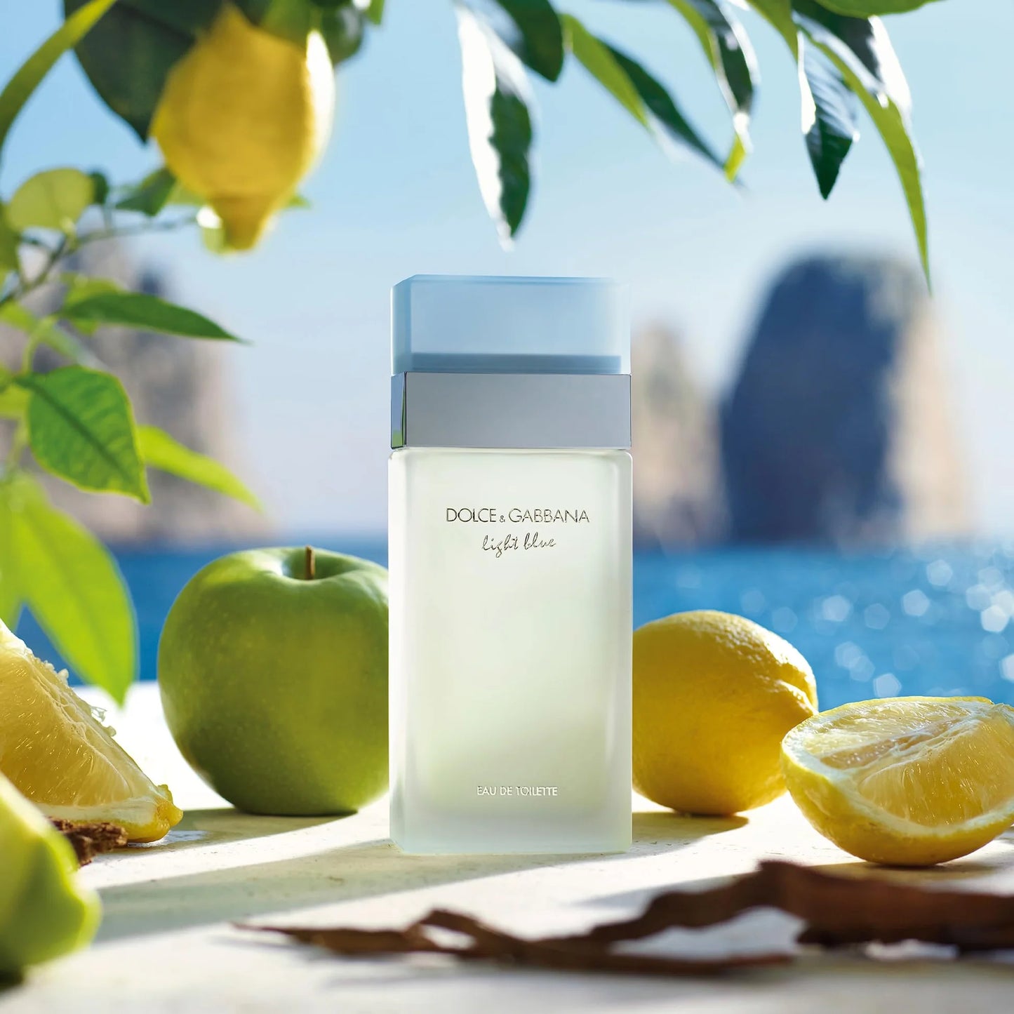 Dolce & Gabbana Light Blue Women 100ml
